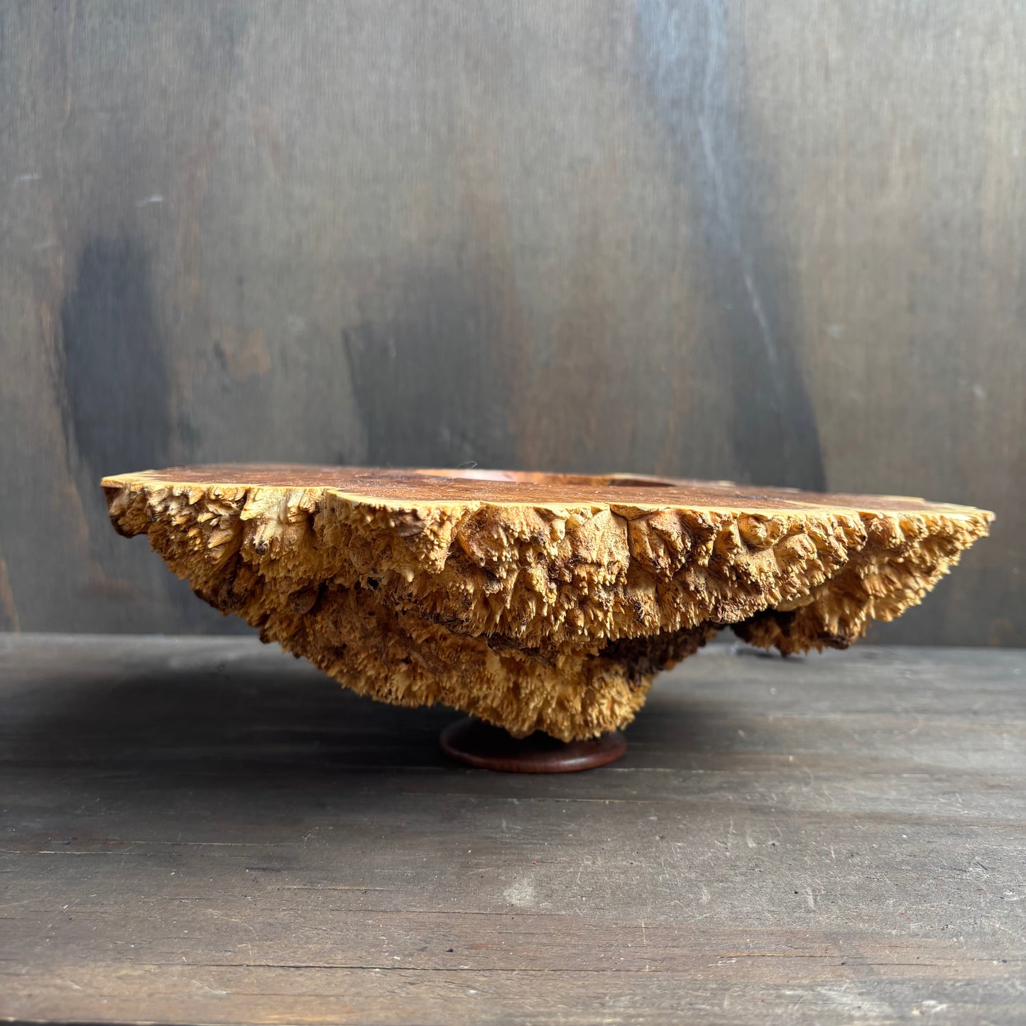 Burl Wood Bowl