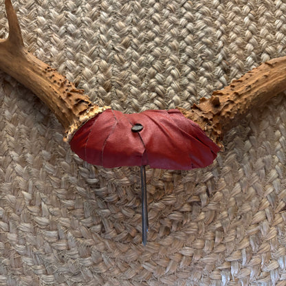 Deer Antlers
