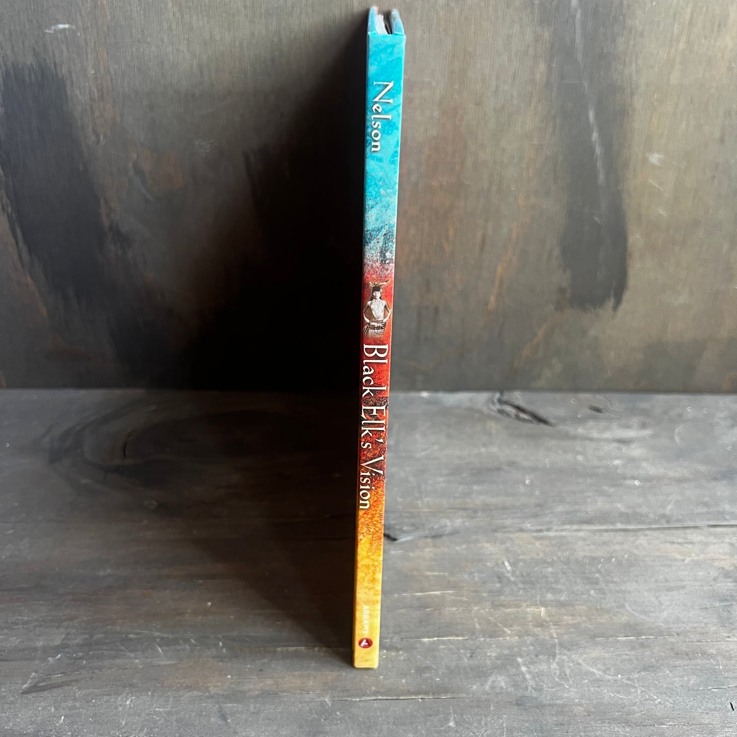 Black Elk’s Vision Book