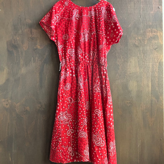 Vintage Red Paisley Dress