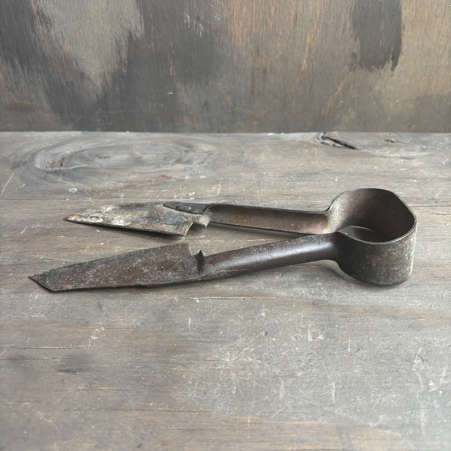 Antique Sheep Sheers