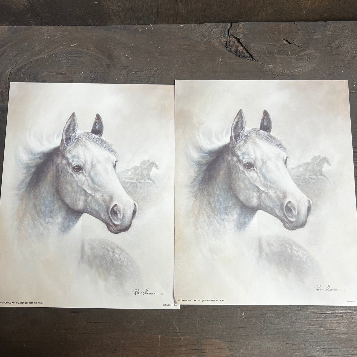 Ruane Manning White Horse Art Print