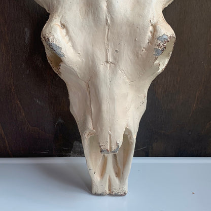 Ceramic skull