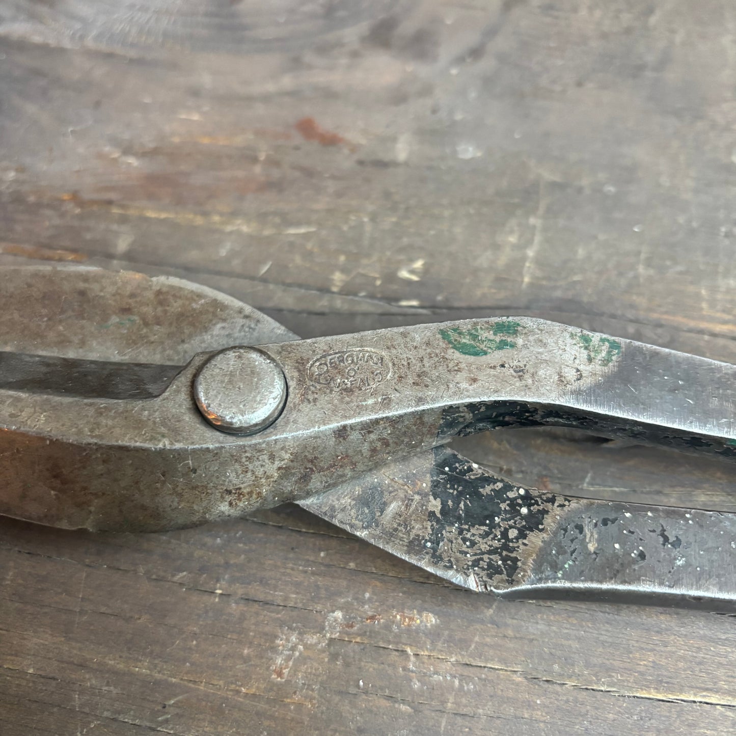 Bergman Buffalo Shears