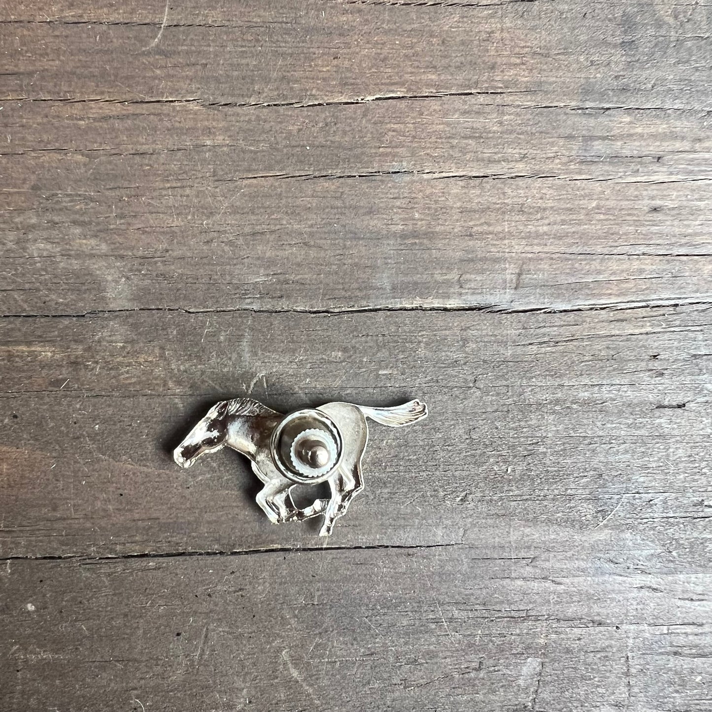 Wild Mustang Pin