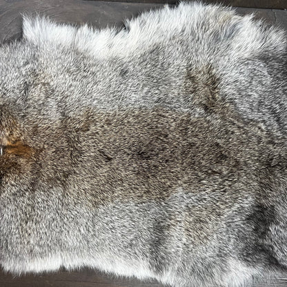 Small Brown Rabbit Pelt