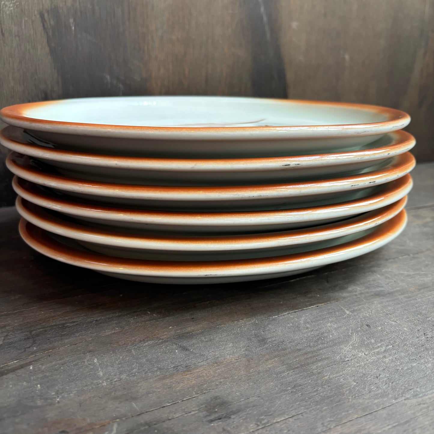 Longhorn Dinner Plates (set of 6)