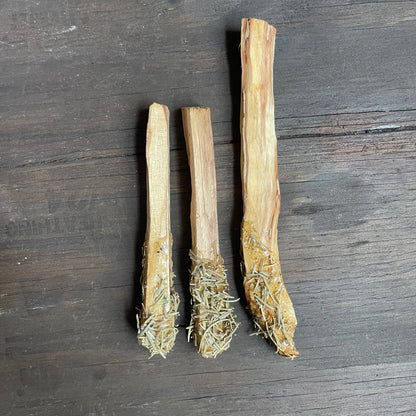 Copal Resin Dipped Palo Santo Smudge Stick with Rosemary