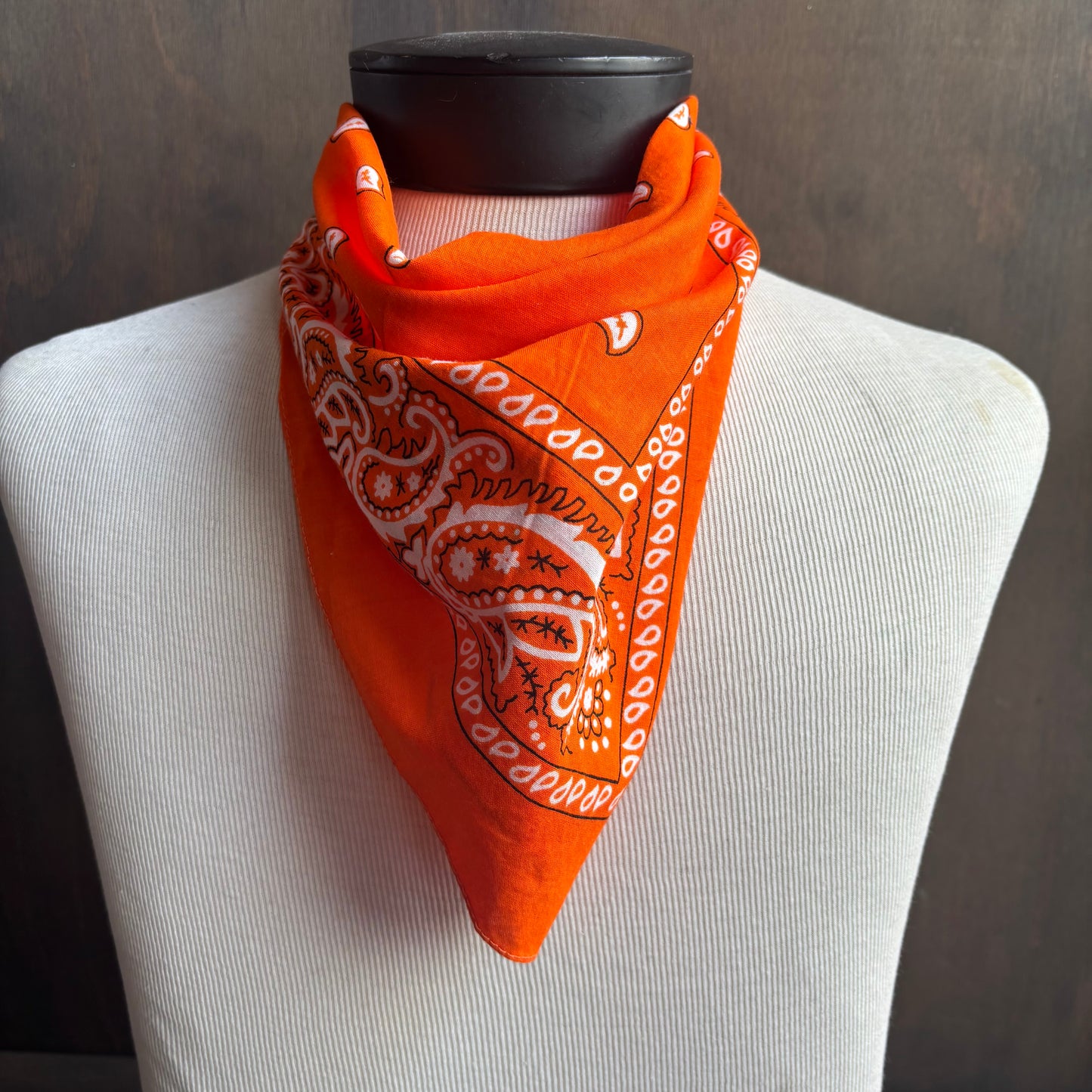 Cotton Paisley Bandana