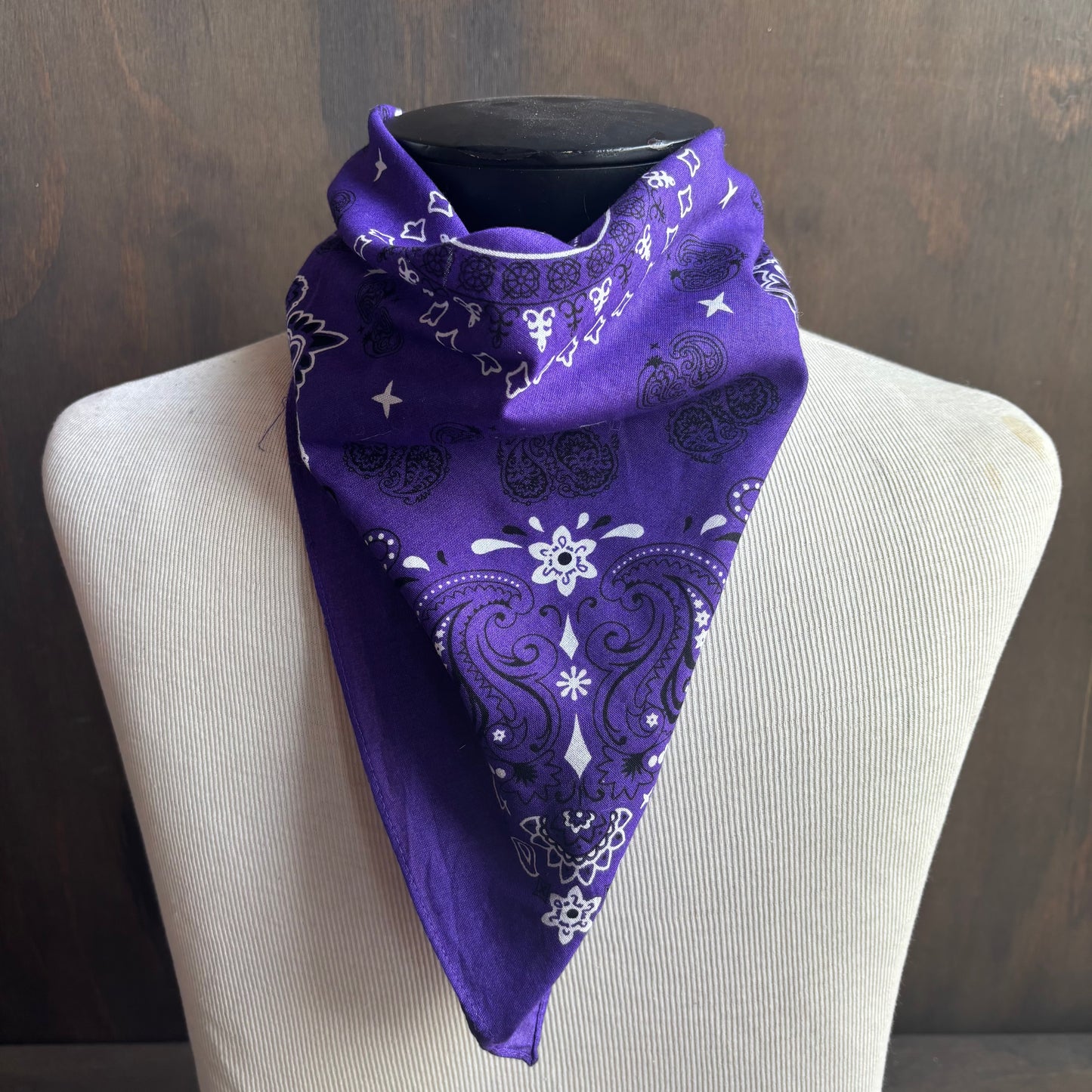 Cotton Paisley Bandana