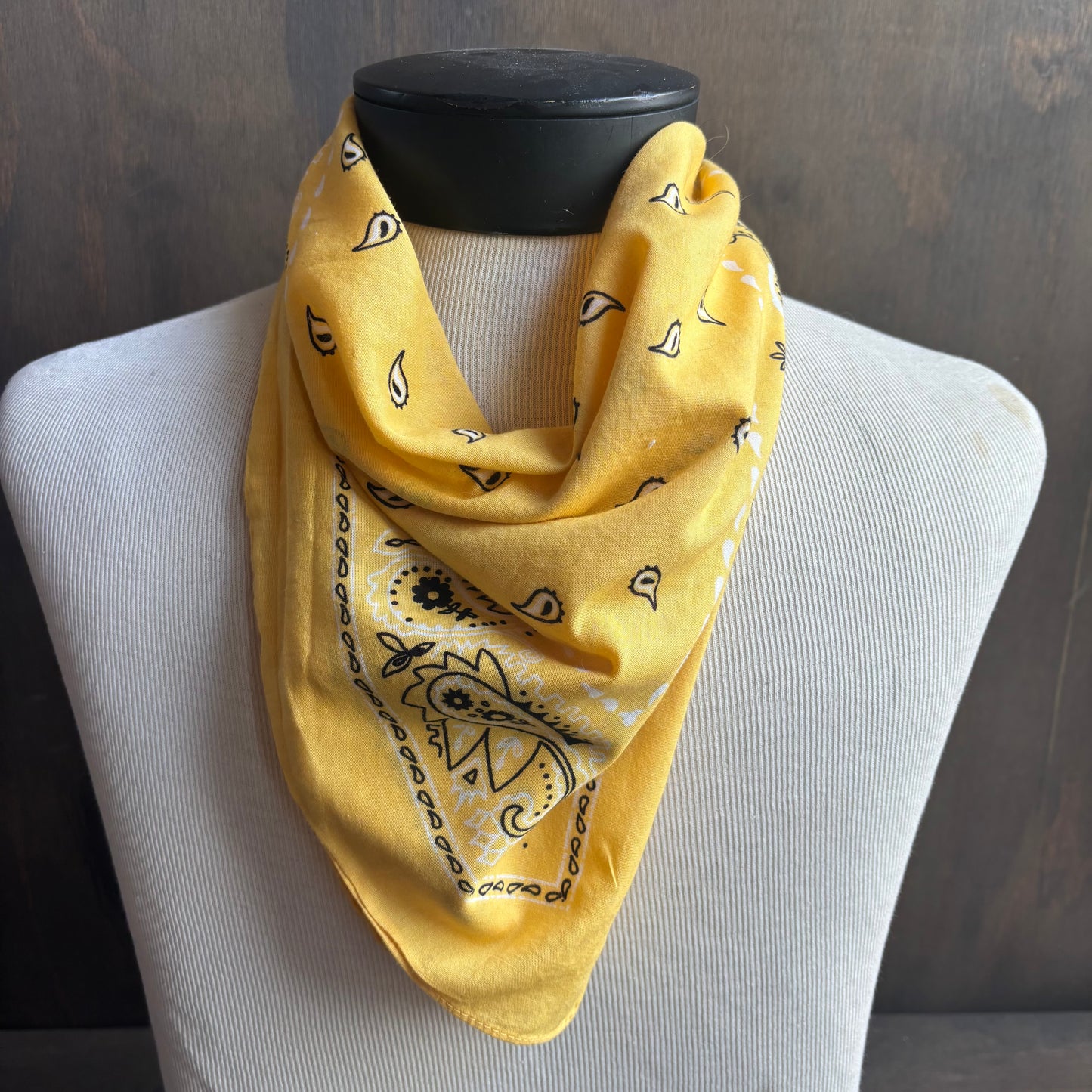 Cotton Paisley Bandana
