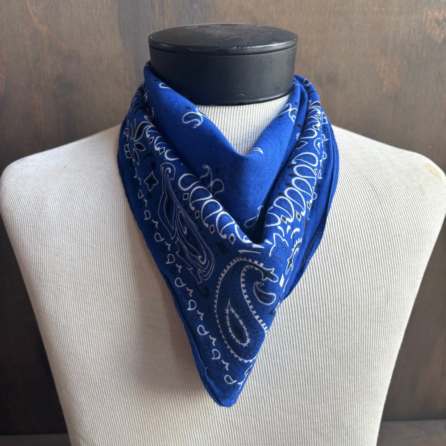 Cotton Paisley Bandana
