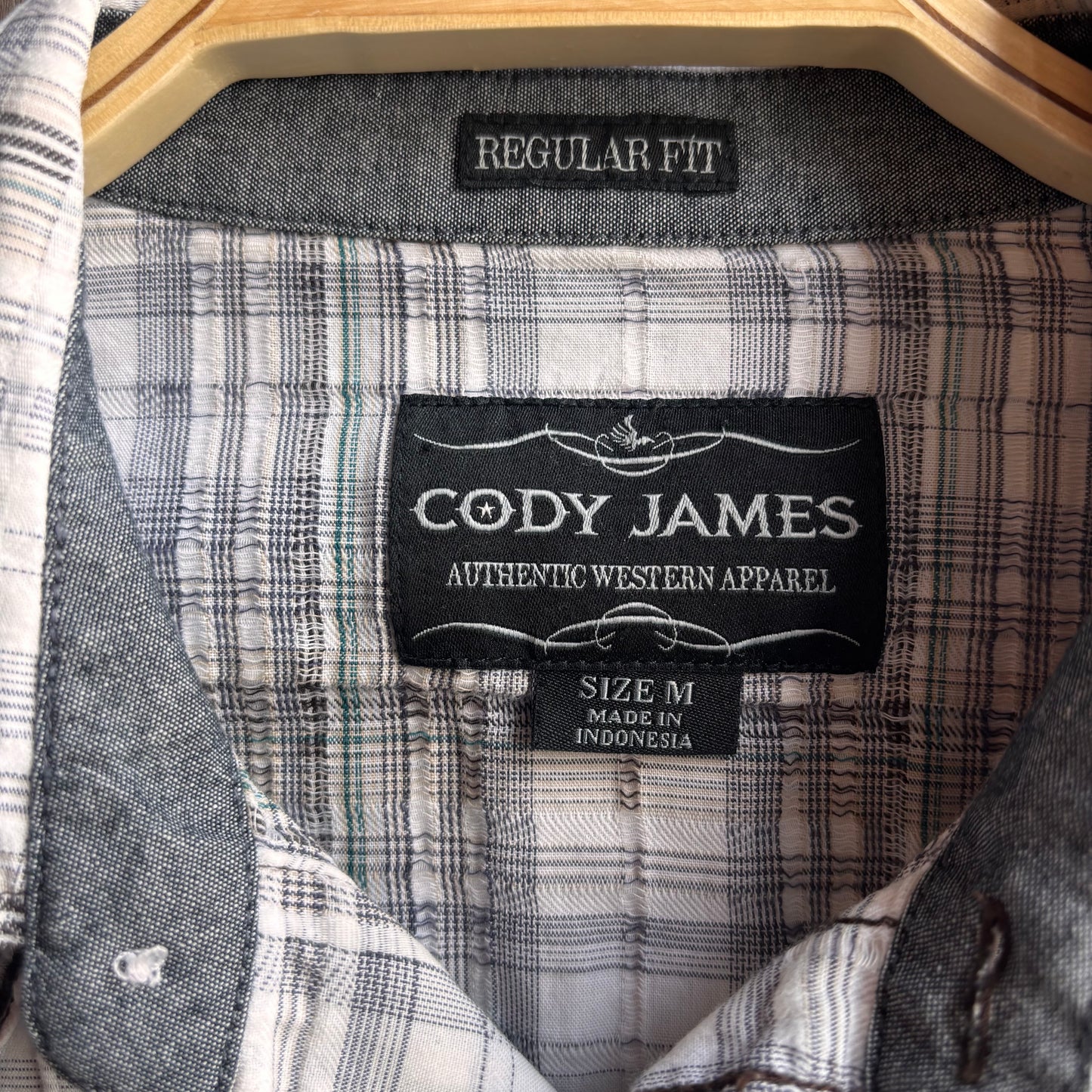 Cody James Plaid Pearl Snap