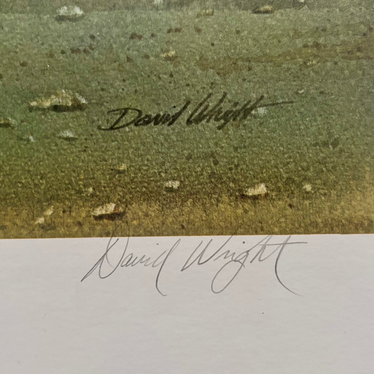 Limited Edition Signed David Wright Lithograph