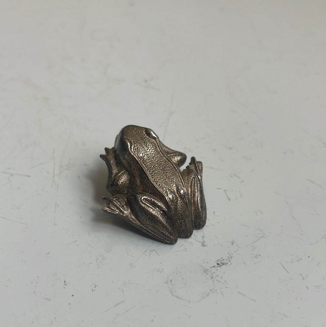 Silver Frog Pin
